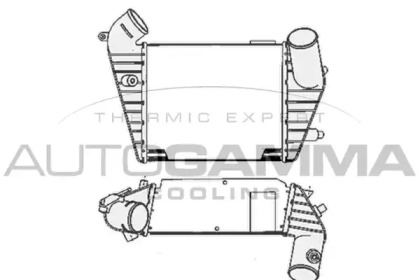 AUTOGAMMA 103881