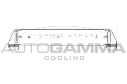 AUTOGAMMA 103899