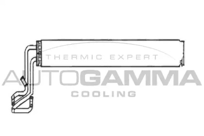 AUTOGAMMA 103946