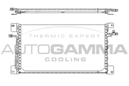 AUTOGAMMA 104019