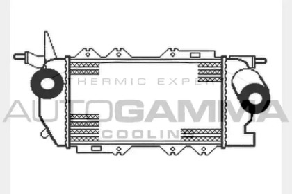 AUTOGAMMA 104045