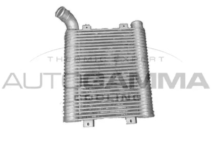 AUTOGAMMA 104094