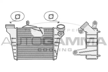 AUTOGAMMA 104102