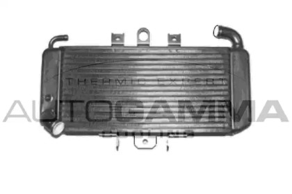 AUTOGAMMA 104156