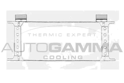 AUTOGAMMA 104212