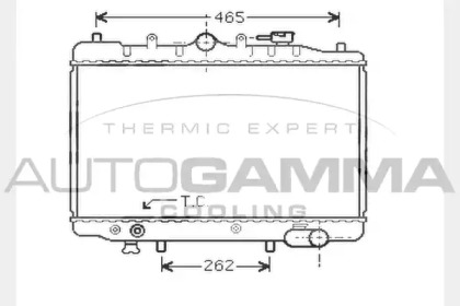 AUTOGAMMA 104320