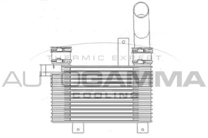 AUTOGAMMA 104437