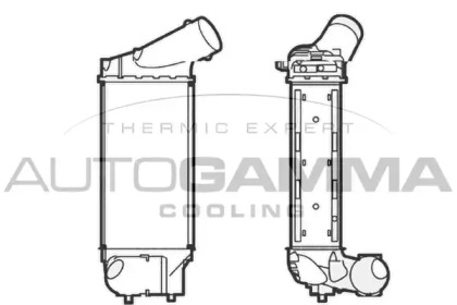 AUTOGAMMA 104490