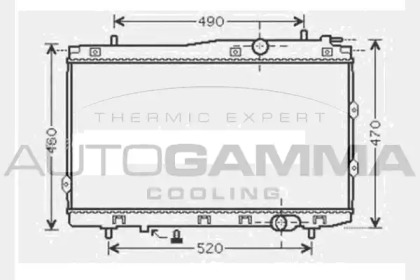 AUTOGAMMA 104595