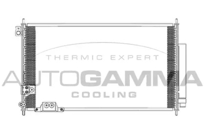 AUTOGAMMA 104900