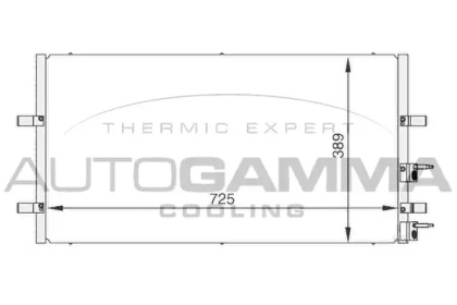 AUTOGAMMA 104986