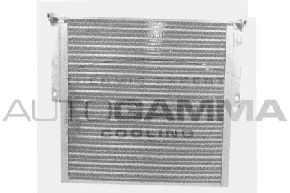 AUTOGAMMA 105002