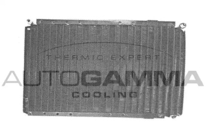 AUTOGAMMA 105003
