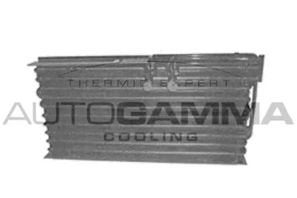 AUTOGAMMA 105006