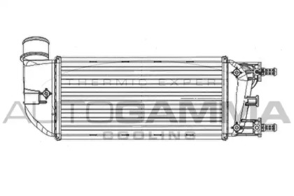AUTOGAMMA 105065