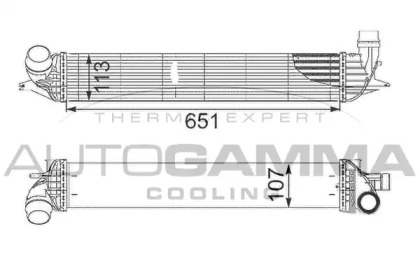 AUTOGAMMA 105097