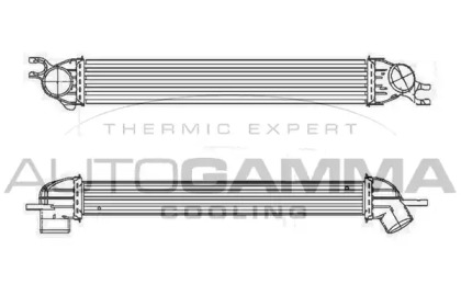 AUTOGAMMA 105252