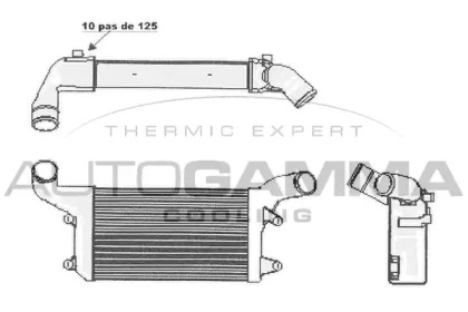 AUTOGAMMA 105299