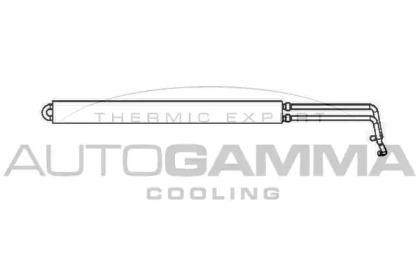 AUTOGAMMA 105325
