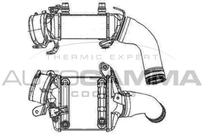 AUTOGAMMA 105333