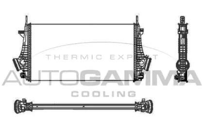 AUTOGAMMA 105338