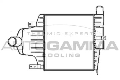 AUTOGAMMA 105502