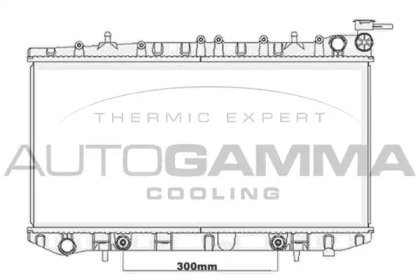 AUTOGAMMA 105653