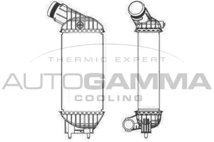 AUTOGAMMA 105677