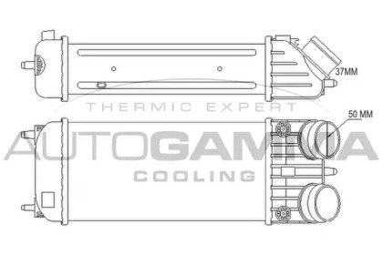 AUTOGAMMA 105775