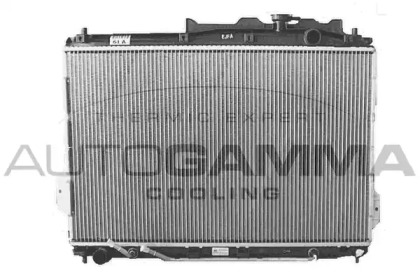AUTOGAMMA 105796