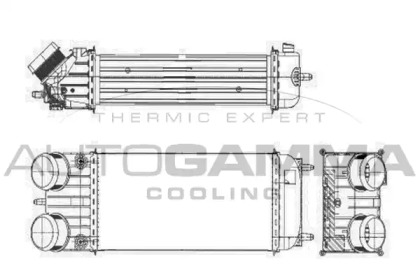 AUTOGAMMA 105896