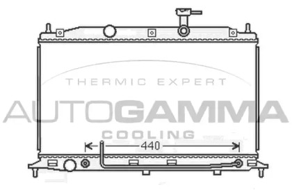 AUTOGAMMA 105919