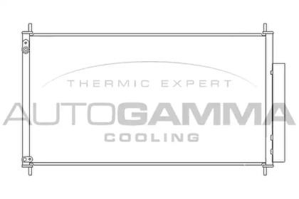 AUTOGAMMA 105960