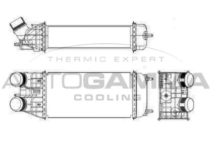 AUTOGAMMA 105995