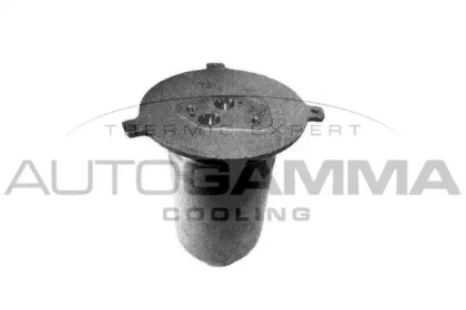 AUTOGAMMA 106159