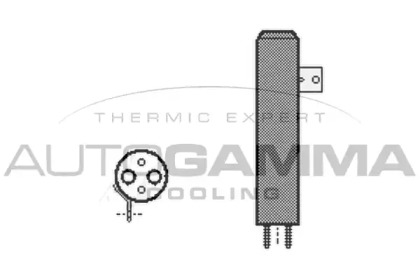 AUTOGAMMA 106450
