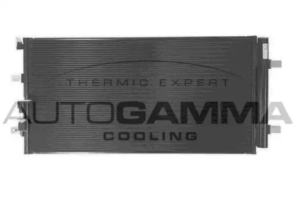 AUTOGAMMA 107079