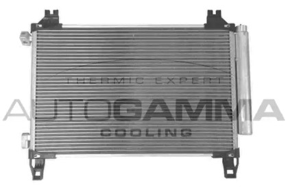 AUTOGAMMA 107096