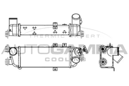 AUTOGAMMA 107104