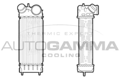 AUTOGAMMA 107116