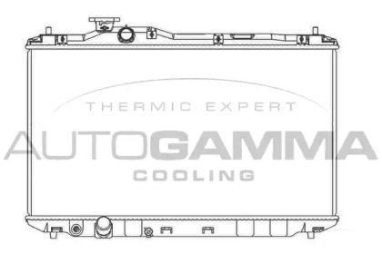 AUTOGAMMA 107176