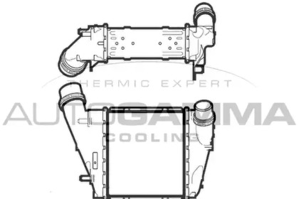 AUTOGAMMA 107460