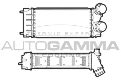 AUTOGAMMA 107467