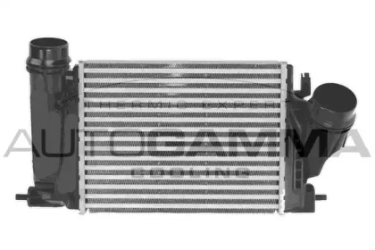 AUTOGAMMA 107469
