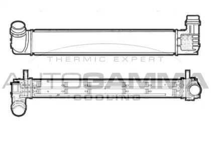 AUTOGAMMA 107474