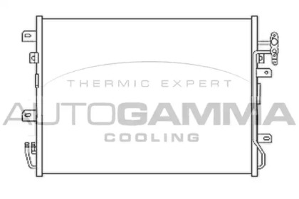 AUTOGAMMA 107482