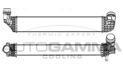 AUTOGAMMA 107521