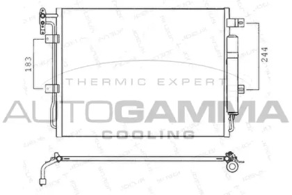 AUTOGAMMA 107570