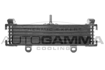 AUTOGAMMA 110000