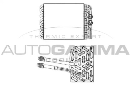 AUTOGAMMA 112024